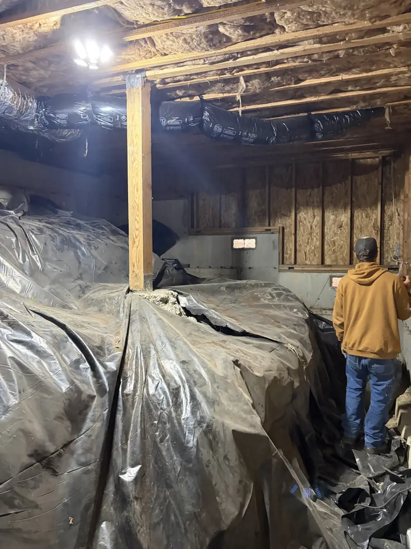Crew member standing in a crawl space during a project