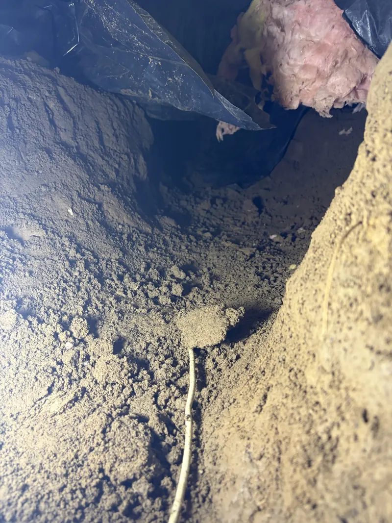Soil dug out beneath a crawl space to create working room