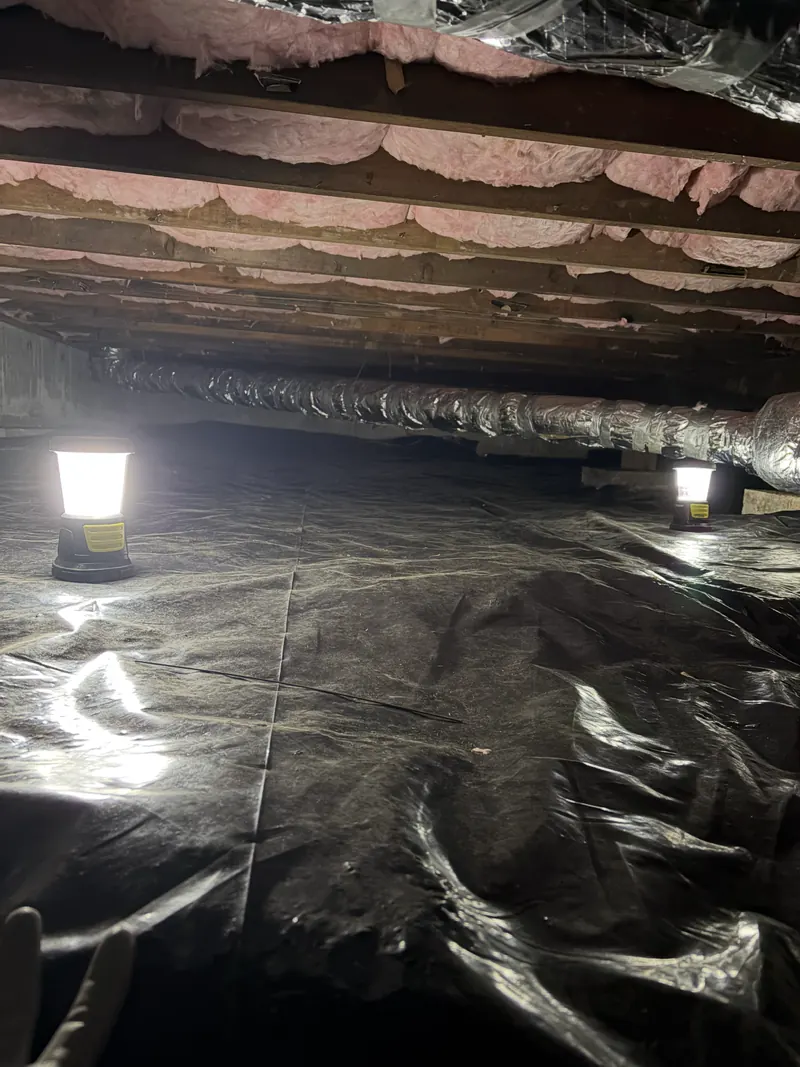 New pink insulation between floor joists above a new black crawl space barrier