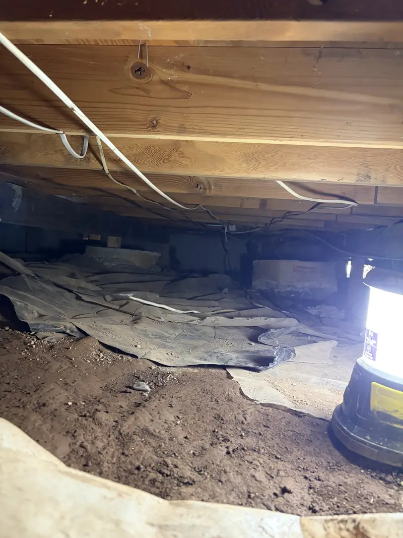 Bare soil exposed where old crawl space plastic has pulled away