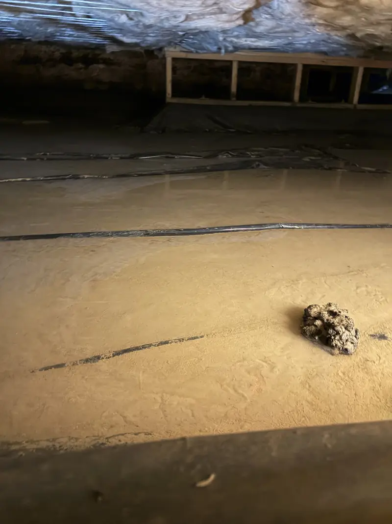 Muddy water pooled across a crawl space floor