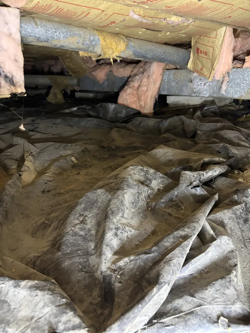Old, loose insulation and ductwork above dirty crawl space plastic