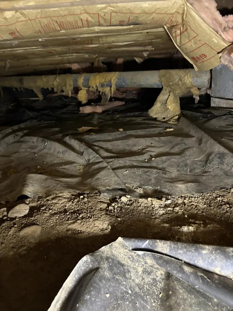 Sagging paper-faced insulation above torn plastic and exposed soil