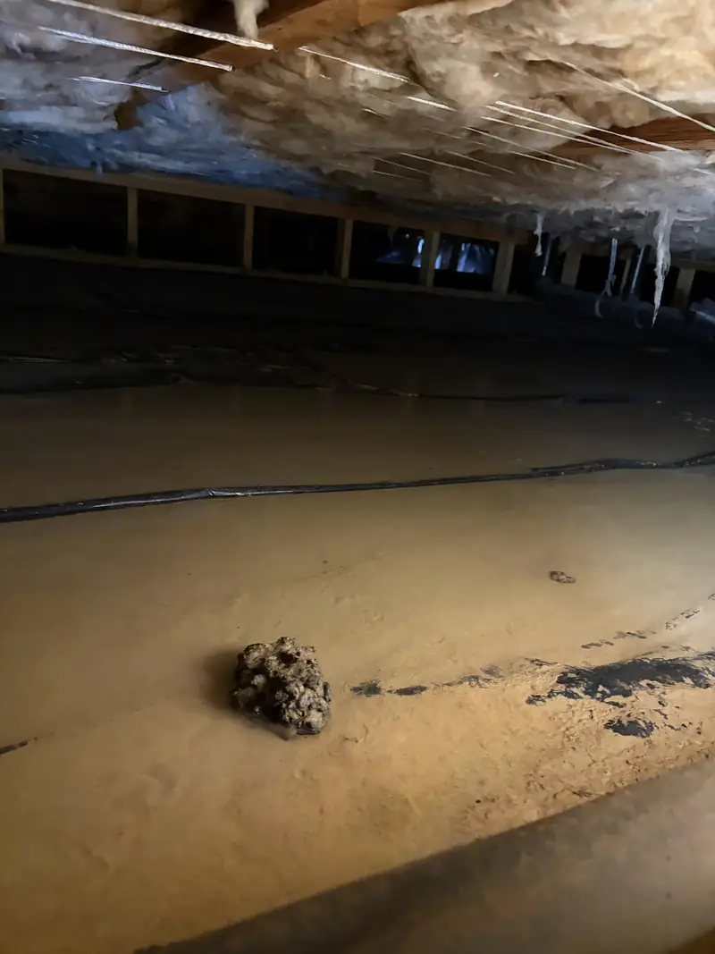 Standing water spread across a crawl space floor
