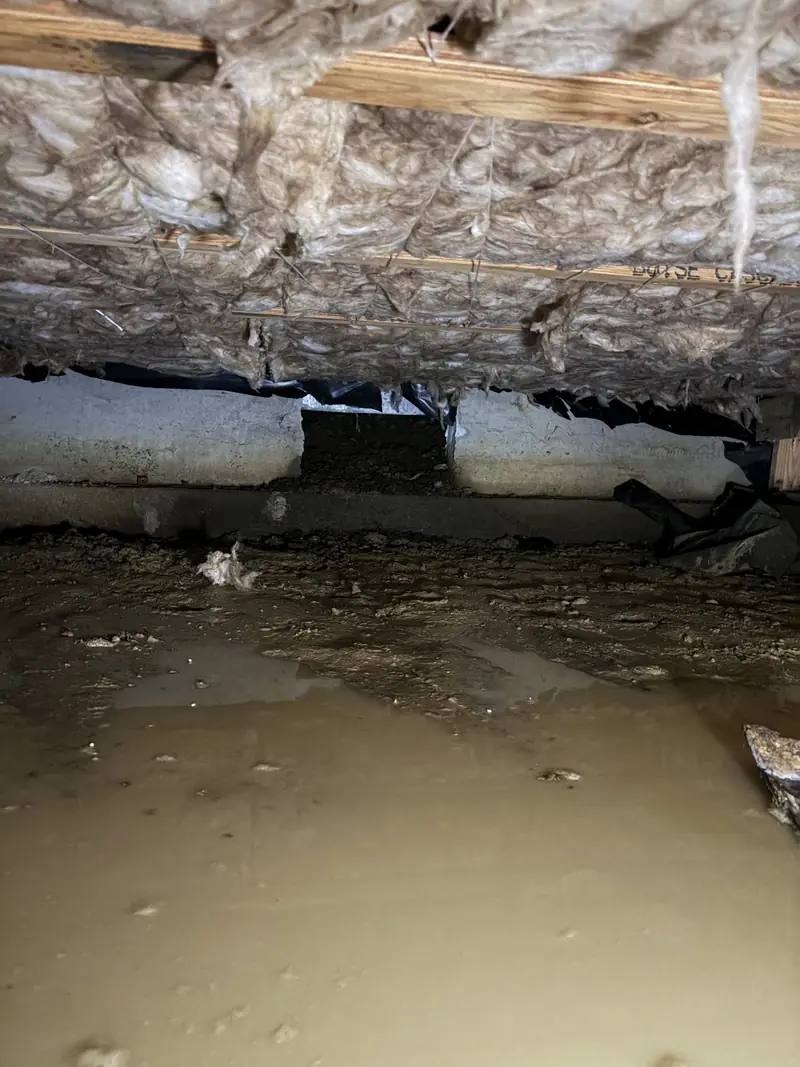 Water collecting along a crawl space foundation wall